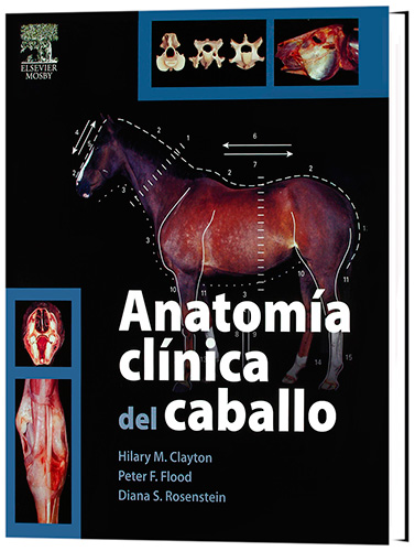 Anatomía Clínica del Caballo